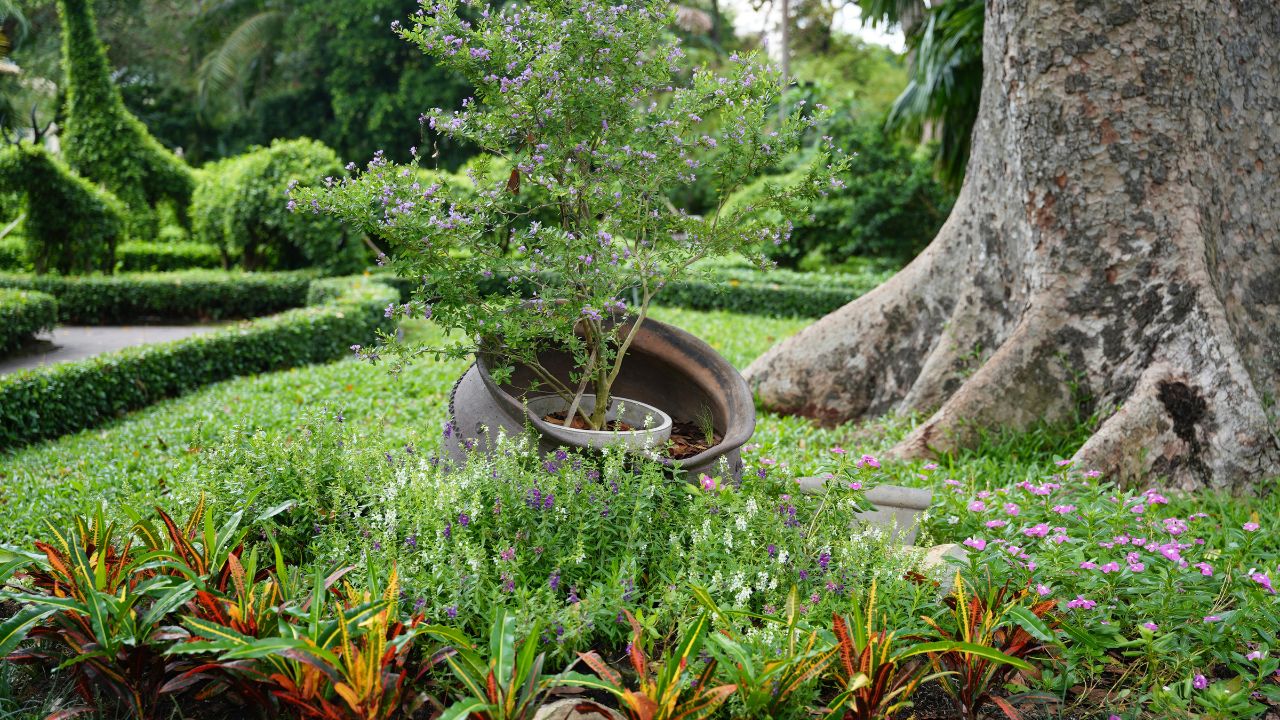 Giardino realizzato da La Vecchia Fattoria a Soresina